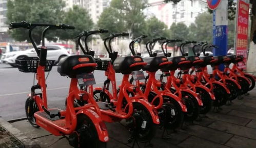 喜大普奔！共享電動單車正式登陸都昌，綠色出行再添新選擇